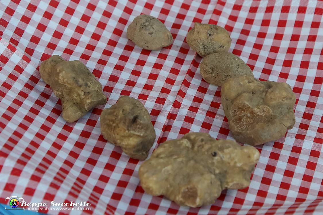 VBS_5588 - 10.ma Fiera Nazionale del Tartufo e Fiera dei Santi.jpg